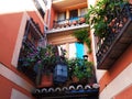 Beautiful balconies with flowers and plants