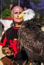 Beautiful Bald Eagle Royalty Free Stock Photo