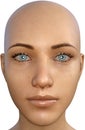 Beautiful Bald Woman Head, isolated