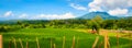 Beautiful Bali rice fields and volcano. Rice terraces in Bali, Indonesia Royalty Free Stock Photo