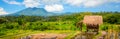 Beautiful Bali rice fields and volcano. Rice terraces in Bali, Indonesia Royalty Free Stock Photo