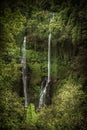 Beautiful Bali waterfall Sekumpul tropical forest on Bali in Indonesia as famous landmark