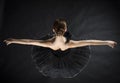 Beautiful ballet dancer Royalty Free Stock Photo