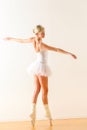 Beautiful ballet dancer dancing in the studio