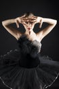 Beautiful ballet dancer Royalty Free Stock Photo