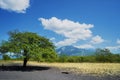 Beautiful Baluran National Park with Mount Baluran