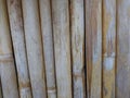 Beautiful bamboo for artistic in house