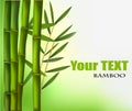 Beautiful bamboo border. Vector Royalty Free Stock Photo