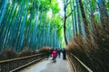 Beautiful  Bamboo forest at Arashiyama, Kyoto, Japan Royalty Free Stock Photo