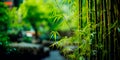 beautiful bamboo garden where spring nature merges with the structure of bamboo . Generative AI Royalty Free Stock Photo