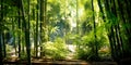 beautiful bamboo garden where spring nature merges with the structure of bamboo . Generative AI Royalty Free Stock Photo