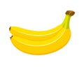 Beautiful bananas in cartoon style