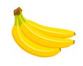 Beautiful bananas in cartoon style