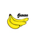 Beautiful bananas. Vector illustration. Tropical fruits.