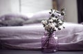 Beautiful banch of cotton in lilac glass vase in bedroom interior