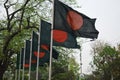 Beautiful Bangladeshi flag in row