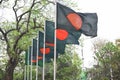 Beautiful Bangladeshi flag in row