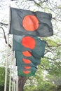 Beautiful Bangladeshi flag in row