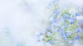 Beautiful banner Wallpaper in soft blue with colors and space for text