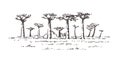 Beautiful Baobab trees in Madagascar. Landscape with unusual trees. Madagascar hand drawn sketch illustration