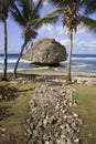 Beautiful Barbados Beach Royalty Free Stock Photo