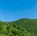 A beautiful barn on a hill in the woods Royalty Free Stock Photo