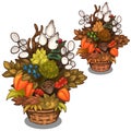 Beautiful basket with flower arrangement. Vector