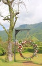 Beautiful basket swing of the wedding decorated with the colorful roses flower in the nature garden hanging on pole under tree