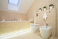 Beautiful bathroom in beige color