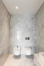 Beautiful bathroom marble