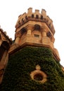 The beautiful battlement of bangalore palace with creeper plant. Royalty Free Stock Photo