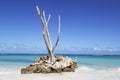 The beautiful Bavaro Beach in Punta Cana, Dominican Republic