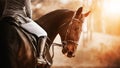 A bay horse with a rider in the saddle stands half-turned against the background of trees, illuminated by the rays of the setting