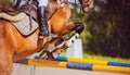 A bay racehorse with a rider in the saddle jumps over a high yellow-blue barrier on a summer day. Equestrian sports and show