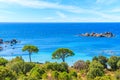 Beautiful beach with azure sea waterView of famous Palombaggia beach with pine trees and azure sea, Corsica island, France Royalty Free Stock Photo