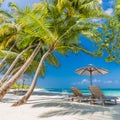 Beautiful beach background, blue sea and green palm trees. Summer travel vacation and holiday background concept Royalty Free Stock Photo