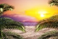Beautiful beach background with palms