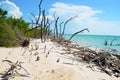 Beautiful beach at Cayo JutÃÂ­as Royalty Free Stock Photo