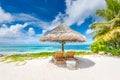 Tropical beach nature as summer landscape with lounge chairs and palm trees and calm sea for beach banner