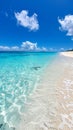 A beautiful beach Royalty Free Stock Photo