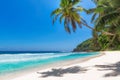 Beautiful beach with coco palms and turquoise sea in Jamaica island. Royalty Free Stock Photo