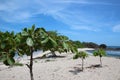 Beautiful beach in Costa Rica