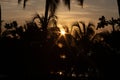 Beautiful beach dusk sene with palms silhouette Royalty Free Stock Photo