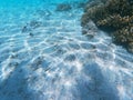 The `Ensenada Grande` beach in Baja California Sur Royalty Free Stock Photo