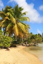 Beautiful beach in Marie Galante island, Guadeloupe, Caribbean Islands