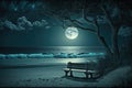 Beautiful beach moonlight romantic environment