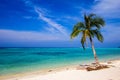 Beautiful beach with palm with blue sky