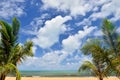 Beautiful beach with palm tree and blue sky Royalty Free Stock Photo