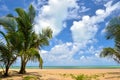 Beautiful beach with palm tree and blue sky Royalty Free Stock Photo