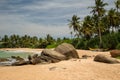 Beautiful beach with palm trees and boulders on the tropical island of Sri Lanka. Royalty Free Stock Photo